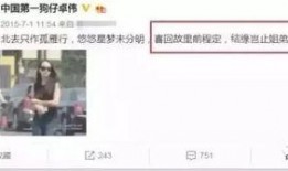 卓伟爆料杨洋视频,杨洋神秘视频引发热议