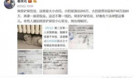 娱乐圈大爆料文章,揭秘明星背后的惊人真相